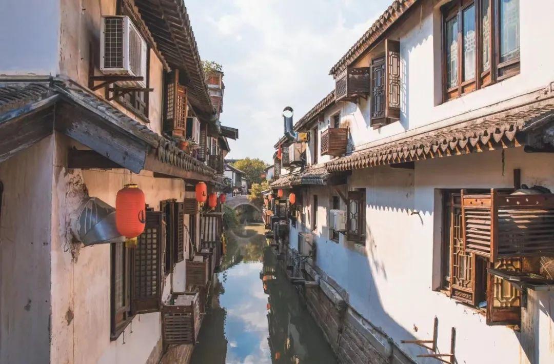 救援鹦鹉