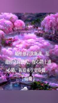 上学迟到